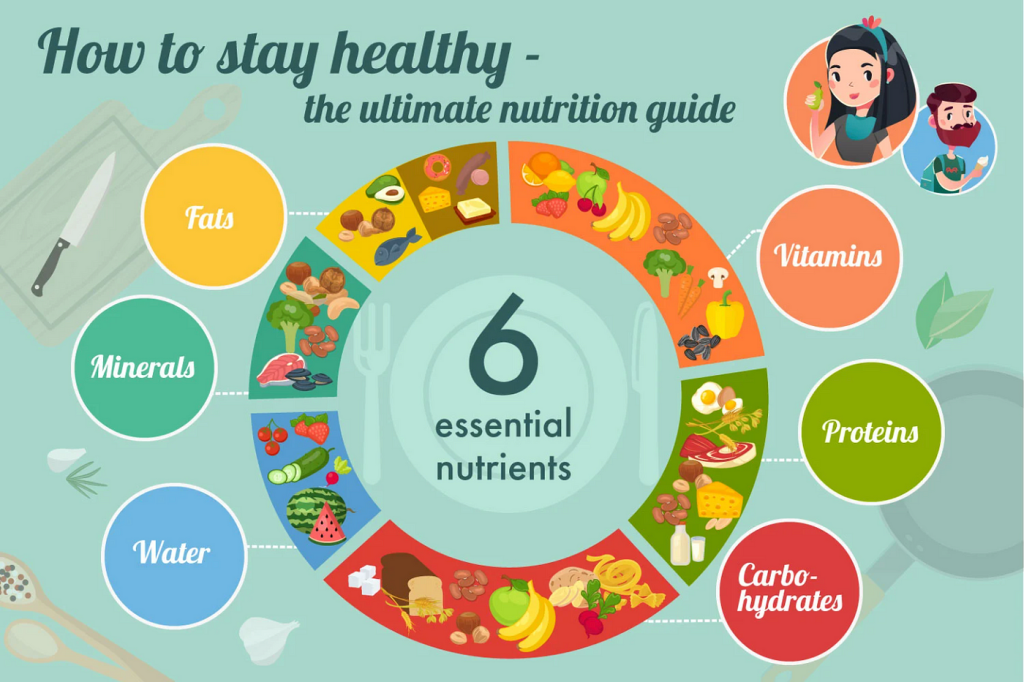 The Ultimate Guide to Balanced Nutrition: What Your Body Really Needs